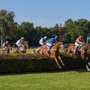 Veľká starohájska steeplechase sú najvýznamnejšie prekážkové dostihy sezóny na Slovensku.