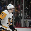 Jevgeniji Malkin je legenda Pittsburghu.