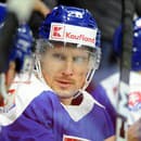 Slovenský hokejista Richard Pánik.