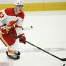 Adam Ružička zažiaril v drese Calgary Flames. 