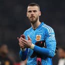 David de Gea bol dlhé roky brankárskou oporou Manchestru United.