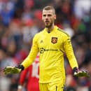 David de Gea bol dlhé roky brankárskou oporou Manchestru United.