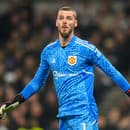 David de Gea bol dlhé roky brankárskou oporou Manchestru United.