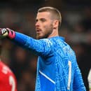 David de Gea bol dlhé roky brankárskou oporou Manchestru United.