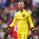 David de Gea bol dlhé roky brankárskou oporou Manchestru United.