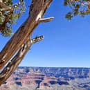 Patrik Koch si s manželkou a dvojičkami užil aj slávny Grand Canyon.