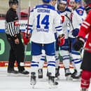Na snímke slovenskí hokejisti sa tešia z gólu v zápase Rakúsko - Slovensko na hokejovom turnaji o Nemecký pohár.