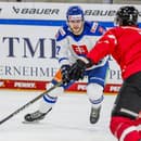 Na snímke hokejista Martin Faško-Rudáš (Slovensko) v zápase Rakúsko - Slovensko na hokejovom turnaji o Nemecký pohár.