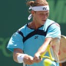 Argentínsky tenista David Nalbandian bol kedysi svetovou trojkou.