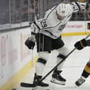 Martin Frk (vľavo) obliekal v NHL dres Los Angeles Kings.