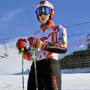 Petra je majsterkou sveta v obr. slalome z roku 2019. V SP túto disciplínu naposledy vyhrala 11. marca 2022, vždy v Are.