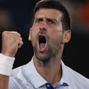 Novak Djokovič vyletel na jednu z fanúšičiek v hľadisku Australian Open.