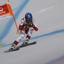 Rakúska lyžiarka Christine Scheyerová oznámila koniec športovej kariéry
