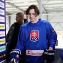Na snímke slovenský hokejista Dalibor Dvorský.