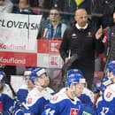 Nemecko - Slovensko ONLINE: Naši hokejisti sa pokúsia o reparát