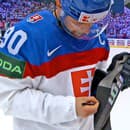 Tatar ... hneď po zápase podpísal hokejku, hodil ju do hľadiska a dostal ako odmenu čokoládu.