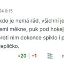 Česi v komentároch zotreli Slovákov.