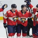 Radosť hráčov Florida Panthers.