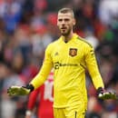 David de Gea bol dlhé roky brankárskou oporou Manchestru United.