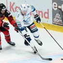 Michal Čunderlík (Banská Bystrica) Brett Ritchie (Nitra) v súboji o puk