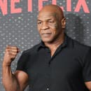 Bývalý šampión v ťažkej váhe Mike Tyson.