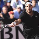 Juan-Martin Del Potro je bývalou svetovou trojkou ATP.