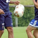 Francúzsky útočník Thierry Henry (vľavo) a obranca Bixente Lizarazu (vpravo) počas tréningu v roku 2003. 