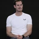 Bývalý britský tenista Andy Murray je súčasťou trénerského tímu Novaka Djokoviča