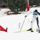 Nórsky bežec na lyžiach Petter Northug.