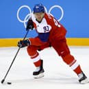 Martin Erat má bronzovú olympijskú medailu z Turína i striebro z MS v Rige.