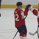 Obranca Aaron Ekblad patrí medzi najväčšie opory Floridy Panthers v NHL.