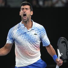 Novak Djokovič postúpil na Australian Open do semifinále.