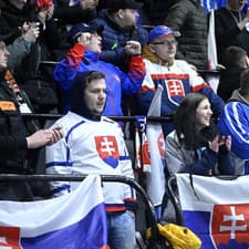Na snímke fanúšikovia počas prípravného zápasu Slovensko - Nemecko.