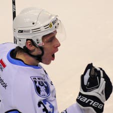 Archívna snímka z roku 2011: Prvý zápas štvrťfinále play off hokejovej extraligy medzi  HC Košice - HK K CERO Nitra. Na snímke strelec prvého gólu zápasu hráč Nitry s č. 33  Daniel Štumpf.
