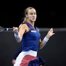  Slovenská tenistka Anna Karolína Schmiedlová vypadla na turnaji WTA v Miami už v prvom kole.