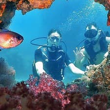 Petra Vlhová si na dovolenke v Thajsku s Michalom užívala aj podmorský svet.