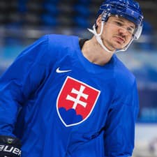 Miloš Kelemen na svoju príležitosť zahrať si opäť v NHL čaká na farme.