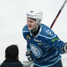 Adam Sýkora sa presunul do AHL po vypadnutí Nitry z play-off Tipos extraligy. Kde bude pôsobiť v novom ročníku je otázne.