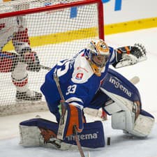 Na snímke brankár Stanislav Škorvánek (Slovensko).