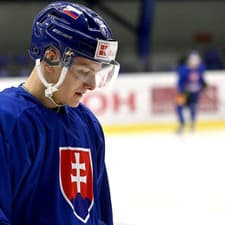 Na snímke hokejista Adam Sýkora.
