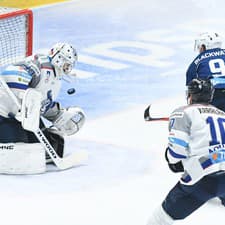 Český hokejový brankár Tomáš Vošvrda ukončil vo veku 33 rokov hráčsku kariéru. 