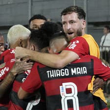 V brazílskom futbalovom klube Flamengo z Ria de Janeiro došlo v priebehu dvoch týždňov druhýkrát k fyzickému násiliu.