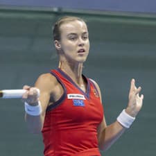 Líderkou slovenského tímu by mala byť Anna Karolína Schmiedlová.