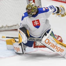 Brankár Matej Tomek (Slovensko) inkasuje gól počas prípravného hokejového zápasu Nemecko - Slovensko.