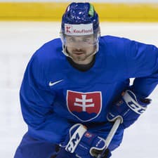 Slovenský hokejový obranca Daniel Gachulinec.