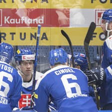 Slovenská hokejová reprezentácia má na MS v Česku vysoké ambície.