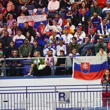 Fanúšikovia na zápase Slovensko - Nemecko počas MS 2024.