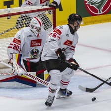 Slovenskí hokejisti v zápase proti Rakúsku.