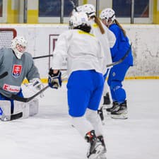 Na snímke tréning ženskej hokejovej reprezentácie SR pred odchodom na finálový turnaj kvalifikácie o postup na ZOH 2026.