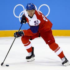 Martin Erat má bronzovú olympijskú medailu z Turína i striebro z MS v Rige.